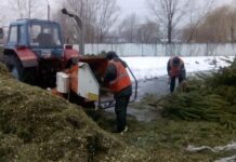 Де у Львові можна здати ялинку на утилізацію: адреси