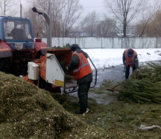 Де у Львові можна здати ялинку на утилізацію: адреси