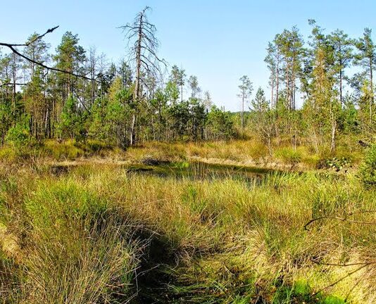 На Білогорщі створять заказник