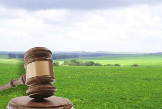 У Львові проведуть аукціон землі: які ділянки в області можна орендувати і за скільки?