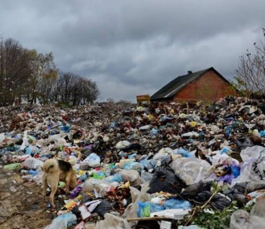 На Львівщині ліквідували понад 200 стихійних сміттєзвалищ