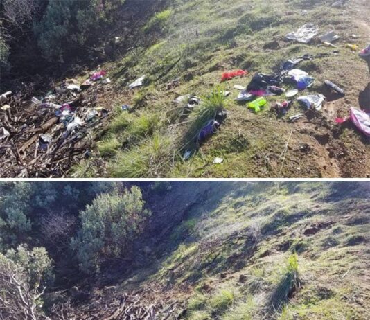 На Львовщине продолжается екочелендж #TrashTag или "Убери и сфотографируй": присоединились Сокальщина и Жовкивщина