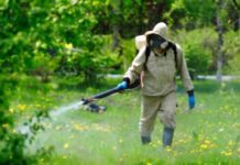 Обробка парків Львова від кліщів: де і коли краще не гуляти