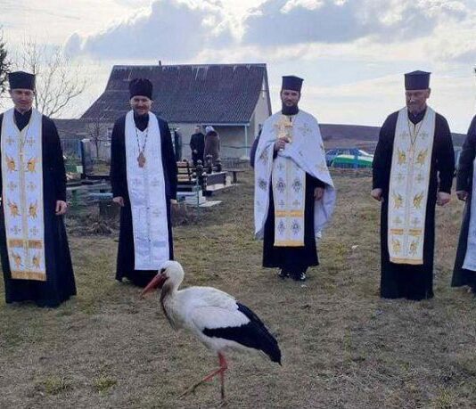 Сначала в церкви, а потом на кладбище: в День памяти Героев Небесной Сотни аист "молился" вместе с людьми