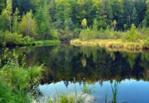 Цілющі води Львівщини