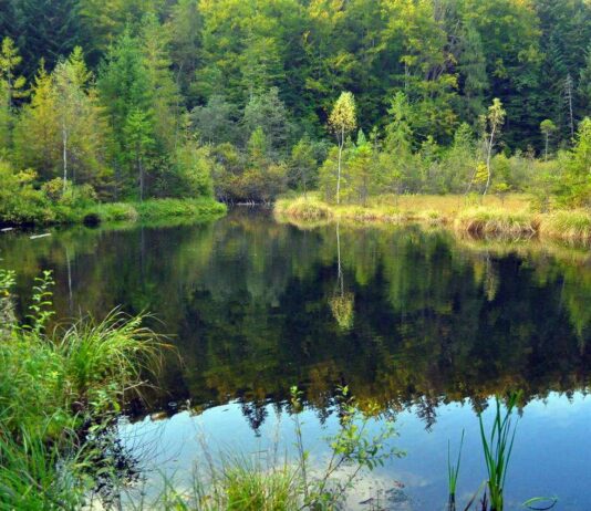 Целебные воды Львовщины