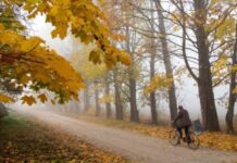 "Бабье лето" не хочет уступать первым морозам