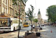 Львовский мэр выделил более 100 000 гривен на озеленение центральной части города