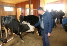 Фермеры Луганщины переняли опыт львовян по созданию кооперативов