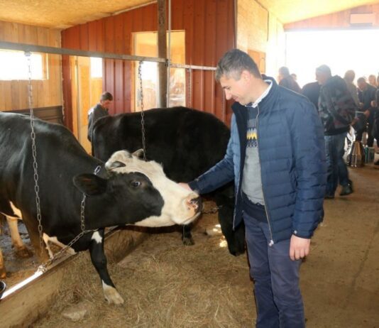 Фермеры Луганщины переняли опыт львовян по созданию кооперативов