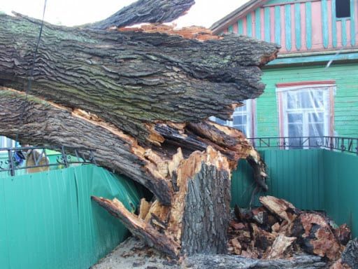 На Львівщині негода зруйнувала не лише природу, будівлі, але й забрала життя молодої жінки
