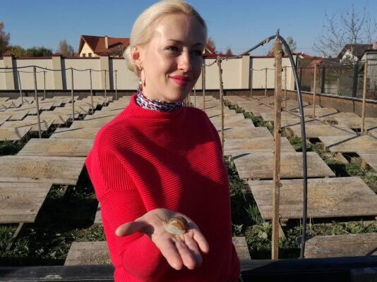 Как в Солонке, что на Львовщине, разводят улиток, которых тоннами экспортируют в ЕС