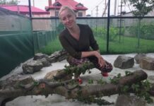 На Львовщине открыли первую в Украине змеиную ферму: подробности
