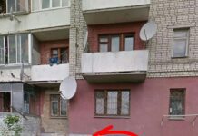 В одному з львівських ОСББ замкнули котів у підвалі