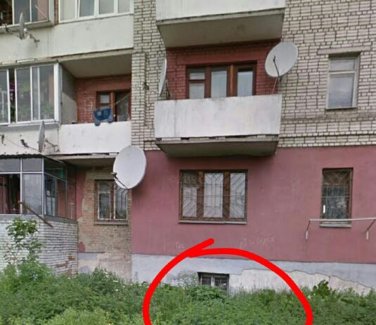 В одном из львовских ОСМД заперли котов в подвале