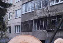 У Львові спилюють здорові дерева?