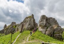 Экологические карты Львова