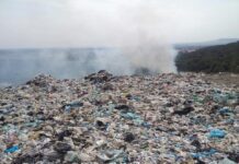 К концу 2025 года на месте Грибовицкой свалки высадят парк