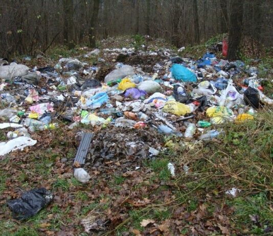Де на Львівщині найбільша кількість нелегальних сміттєзвалищ?