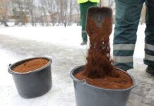 Кофейная гуща — не выход? Почему львовяне против новаторства в борьбе с гололедом