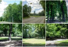 Парк на Кульпарковской превратят в заповедник