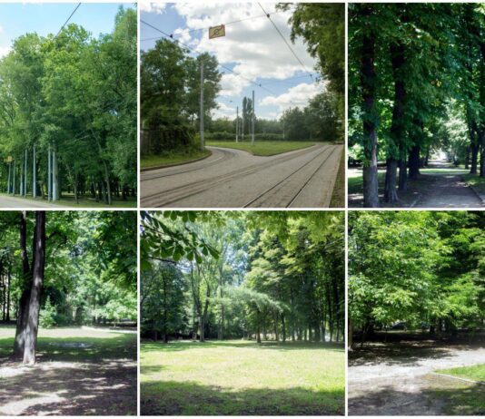 Парк на Кульпарківській перетворять на заповідник