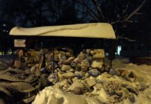 Через негоду у Львові перестали вивозити сміття: обурливі мешканці розміщують фото у мережі