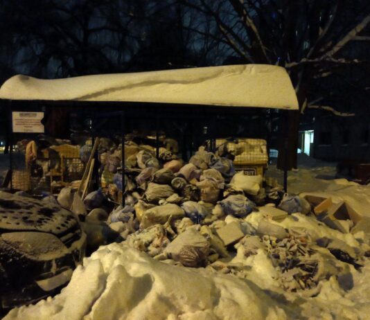 Из-за непогоды во Львове перестали вывозить мусор: возмутительные жители размещают фото в сети