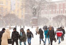 Погода у Львові: снігопади і скасовані рейси. Коли буде -20˚С?