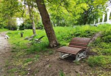 Горіховий гай запрошує львів’ян відвідати новенький громадський простір