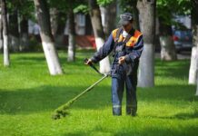 Львів’яни просять впорядкувати процес покосу трави в місті