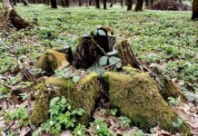 Львів’яни збирають підписи, щоб зберегти витоки озера Стосика та не допустити забудову Брюховицького лісу