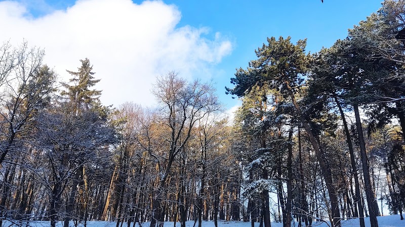 Личаківський парк