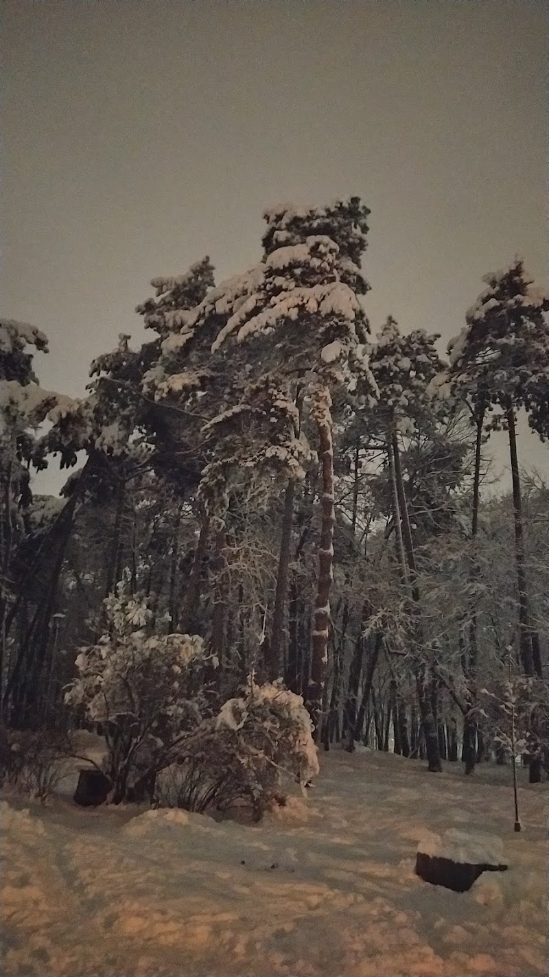 Личаківський парк