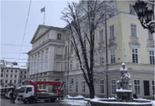 На площі Ринок біля фонтану “Діана” зрізали каштан
