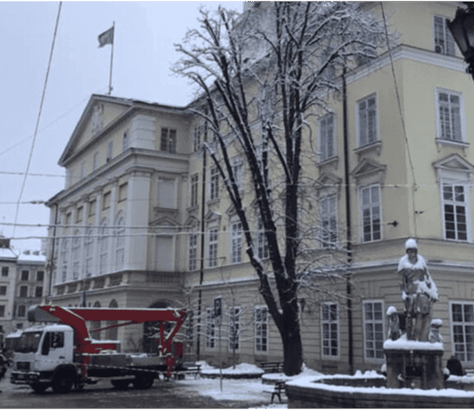 На площі Ринок біля фонтану “Діана” зрізали каштан