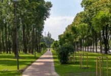 У Львові хочуть створити парк пам’яті українських Героїв