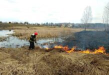 Чому спалювання сухостою у воєнний час прирівнюється до диверсій: пояснюють у мерії Львова