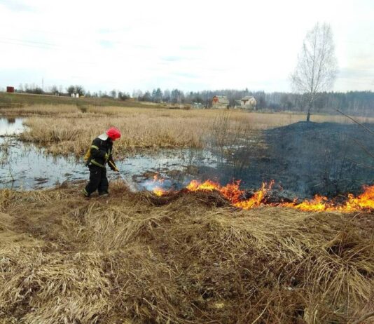 Чому спалювання сухостою у воєнний час прирівнюється до диверсій: пояснюють у мерії Львова