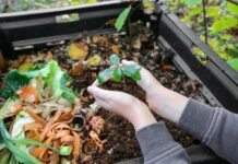 Как и для чего распределять органику: советы для львовян