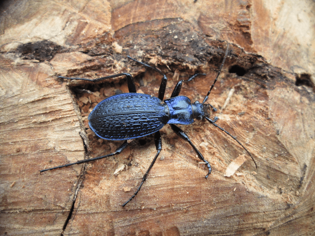 Жоғары сапалы трансвеститтік порно қараңыз Әдемі поляк әйелдерінің жалаңаш фотосуреттері