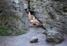 Які таємниці бережуть Чотові (Чортові) скелі біля Львова: історія у легендах та фактах