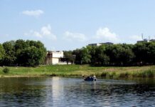 Парк, куди львів’яни ходили кіно дивитися: історія “Горіхового гаю”