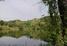 Озера міста: де можна відпочити у Львові