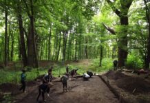 Таємниці історико-культурного заповідника «Давній Пліснеськ»