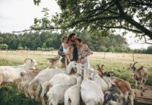 Cozy Farm: как молодые супруги переехали из Львова в село и открыли козью ферму