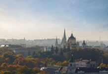 Озеленение Львова: проблемы, почему важно