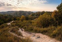 5 великих парків для комфортного бігу у Львові