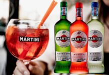 Мартини – напиток аристократов: технология изготовления, популярные марки
