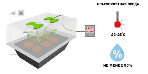 Освещение клонов